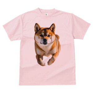 Č TVc fB[X t@  t  vg JWA 킢 lԗp h ̃fUC ʔ Č