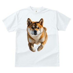 Č TVc fB[X t@  t  vg JWA 킢 lԗp h ̃fUC ʔ Č