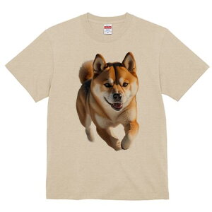 Č TVc fB[X t@  t  vg JWA 킢 lԗp h ̃fUC ʔ  Č  ybg M