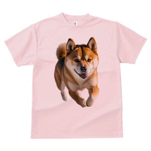 Č TVc fB[X t@  t  vg JWA 킢 lԗp h ̃fUC ʔ  Č  ybg M