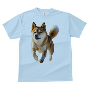 Č TVc fB[X t@  t  vg JWA 킢 lԗp h ̃fUC ʔ Ck Č  ybg 