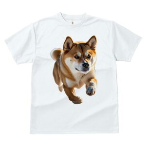 Č TVc fB[X t@  t  vg JWA 킢 lԗp h ̃fUC ʔ Č