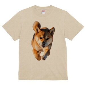 Č TVc fB[X t@  t  vg JWA 킢 lԗp h ̃fUC ʔ  Č  ybg 