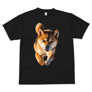 Č TVc fB[X t@  t  vg JWA 킢 lԗp h ̃fUC ʔ  Č  ybg 