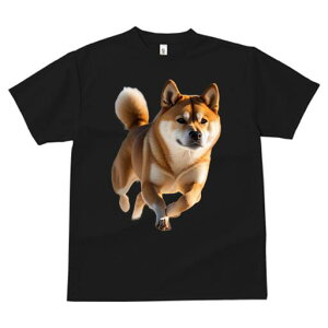 Č TVc fB[X t@  t  vg JWA 킢 lԗp h ̃fUC ʔ Č