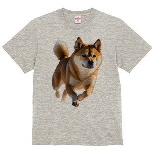 Č TVc fB[X t@  t  vg JWA 킢 lԗp h ̃fUC ʔ Č