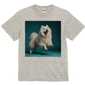 TGh TVc fB[X t@  t  vg JWA 킢 lԗp h ̃fUC ʔ TGh