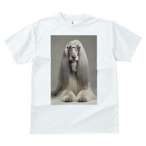 AtKnEh TVc Y LbY t@  t  vg JWA 킢 lԗp h ̃fUC ʔ Kl AtKnEh 