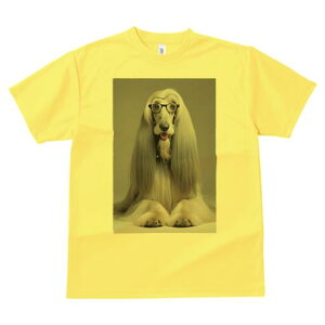 AtKnEh TVc Y LbY t@  t  vg JWA 킢 lԗp h ̃fUC ʔ Kl AtKnEh 