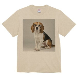 r[O TVc fB[X t@  t  vg JWA 킢 lԗp h ̃fUC ʔ Kl r[O