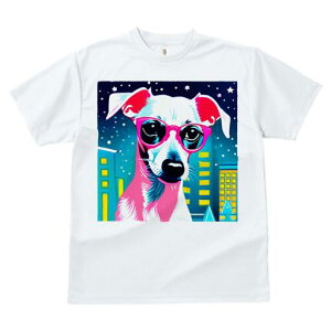 C^AO[nEh TVc Y LbY t@  t  vg JWA 킢 lԗp h ̃fUC ʔ i C^AO[nEh Kl |