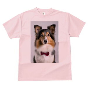 VFbghV[vhbO TVc fB[X t@  t  vg JWA 킢 lԗp h ̃fUC ʔ lN^C VFbghV[vhbO 