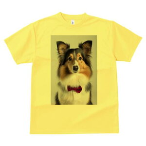 VFbghV[vhbO TVc fB[X t@  t  vg JWA 킢 lԗp h ̃fUC ʔ lN^C VFbghV[vhbO 