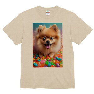 |jA TVc fB[X t@  t  vg JWA 킢 lԗp h ̃fUC ʔ LfB |jA Jt 킢 XC[c