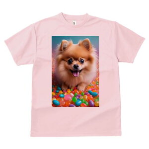 |jA TVc Y LbY t@  t  vg JWA 킢 lԗp h ̃fUC ʔ LfB |jA Jt XC[c