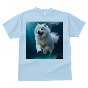 TGh TVc fB[X t@  t  vg JWA 킢 lԗp h ̃fUC ʔ  TGh C