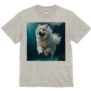 TGh TVc fB[X t@  t  vg JWA 킢 lԗp h ̃fUC ʔ  TGh C