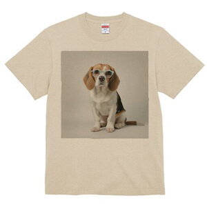 r[O TVc fB[X t@  t  vg JWA 킢 lԗp h ̃fUC ʔ Kl r[O