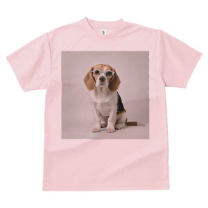 r[O TVc Y LbY t@  t  vg JWA 킢 lԗp h ̃fUC ʔ Kl r[O