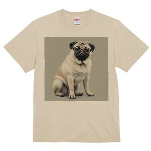 pO TVc fB[X t@  t  vg JWA 킢 lԗp h ̃fUC ʔ Kl pO