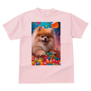 |jA TVc fB[X t@  t  vg JWA 킢 lԗp h ̃fUC ʔ [[r[Y |jA Jt XC[c َq