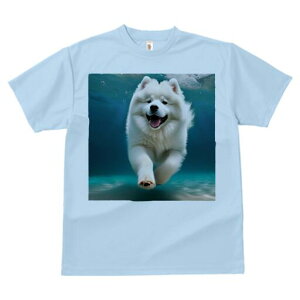 TGh TVc fB[X t@  t  vg JWA 킢 lԗp h ̃fUC ʔ  TGh C