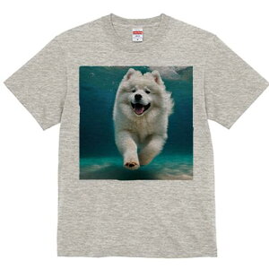 TGh TVc fB[X t@  t  vg JWA 킢 lԗp h ̃fUC ʔ  TGh C