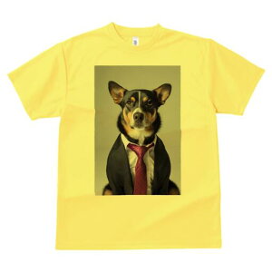 YȂ TVc fB[X t@  t  vg JWA 킢 lԗp h ̃fUC ʔ X[c YȂ lN^C CVc