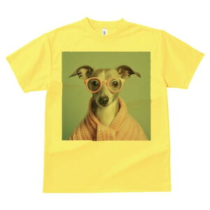 C^AO[nEh TVc Y LbY t@  t  vg JWA 킢 lԗp h ̃fUC ʔ Kl C^AO[nEh Z[^