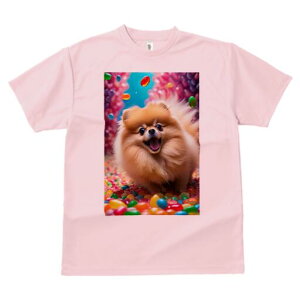 |jA TVc fB[X t@  t  vg JWA 킢 lԗp h ̃fUC ʔ LfB |jA Jt XC[c َq