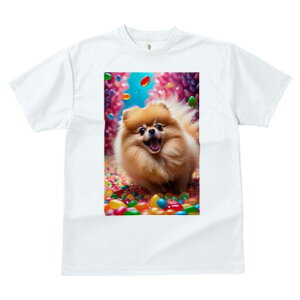 |jA TVc fB[X t@  t  vg JWA 킢 lԗp h ̃fUC ʔ LfB |jA Jt XC[c َq