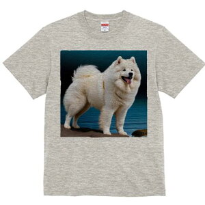 TGh TVc fB[X t@  t  vg JWA 킢 lԗp h ̃fUC ʔ wi TGh 