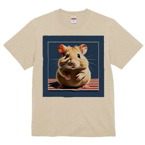 TVc fB[X t@  t  vg JWA 킢 lԗp h ̃fUC ʔ AJ S 킢 |bvA[g