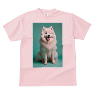 �T���G�h T�V���c ���f�B�[�X ���t�@�� ���� �t�� ���� �v�����g �J�W���A�� ���킢�� �l�ԗp ���h ���������̃f�U�C�� �ʔ� �T���G�h