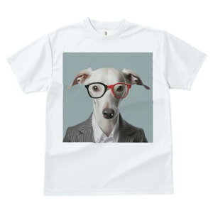 C^AO[nEh TVc Y LbY t@  t  vg JWA 킢 lԗp h ̃fUC ʔ Kl C^AO[nEh X[c 