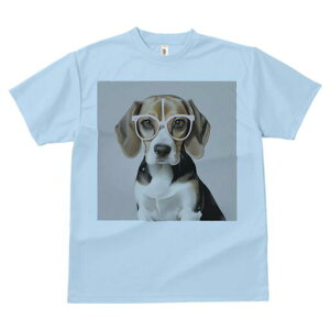 r[O TVc Y LbY t@  t  vg JWA 킢 lԗp h ̃fUC ʔ Kl r[O