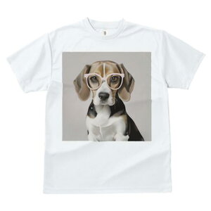 r[O TVc fB[X t@  t  vg JWA 킢 lԗp h ̃fUC ʔ Kl r[O