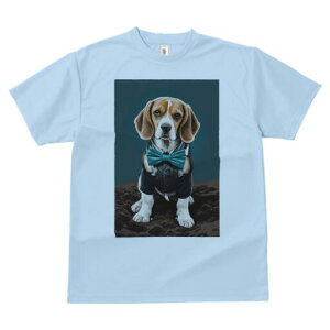 r[O TVc fB[X t@  t  vg JWA 킢 lԗp h ̃fUC ʔ lN^C r[O X[c