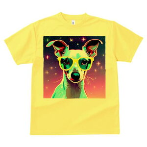 WbNbZeA TVc fB[X t@  t  vg JWA 킢 lԗp h ̃fUC ʔ Kl WbNbZeA  F