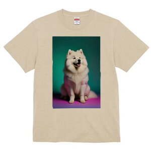 TGh TVc fB[X t@  t  vg JWA 킢 lԗp h ̃fUC ʔ TGh