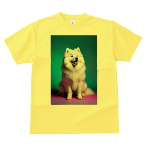 TGh TVc fB[X t@  t  vg JWA 킢 lԗp h ̃fUC ʔ TGh