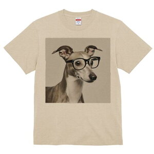 C^AO[nEh TVc Y LbY t@  t  vg JWA 킢 lԗp h ̃fUC ʔ Kl C^AO[nEh