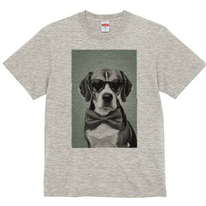 r[O TVc fB[X t@  t  vg JWA 킢 lԗp h ̃fUC ʔ Kl r[O lN^C