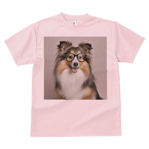 VFbghV[vhbO TVc fB[X t@  t  vg JWA 킢 lԗp h ̃fUC ʔ Kl VFbghV[vhbO