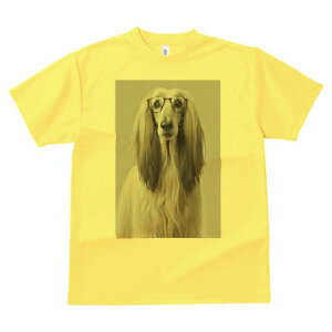 AtKnEh TVc fB[X t@  t  vg JWA 킢 lԗp h ̃fUC ʔ Kl AtKnEh