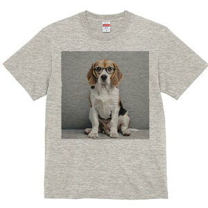 r[O TVc fB[X t@  t  vg JWA 킢 lԗp h ̃fUC ʔ Kl r[O