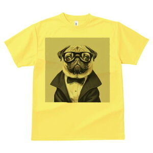 pO TVc fB[X t@  t  vg JWA 킢 lԗp h ̃fUC ʔ Kl pO lN^C X[c