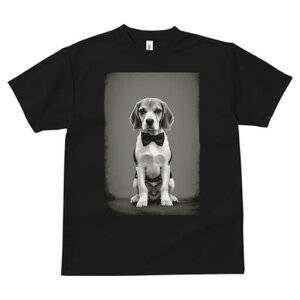 r[O TVc fB[X t@  t  vg JWA 킢 lԗp h ̃fUC ʔ lN^C r[O