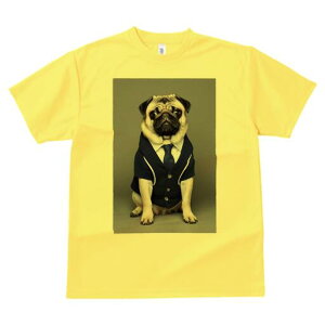 pO TVc fB[X t@  t  vg JWA 킢 lԗp h ̃fUC ʔ X[c pO lN^C