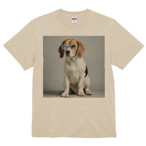 r[O TVc Y LbY t@  t  vg JWA 킢 lԗp h ̃fUC ʔ Kl r[O